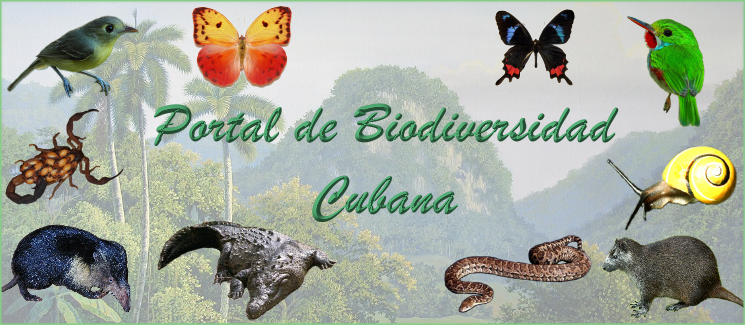 Banner Portal Biodiversidad.png