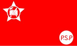 Partido Socialista Bandera de Popular.jpg